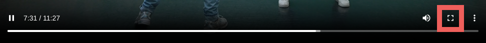 standard-video-fullscreen-icon